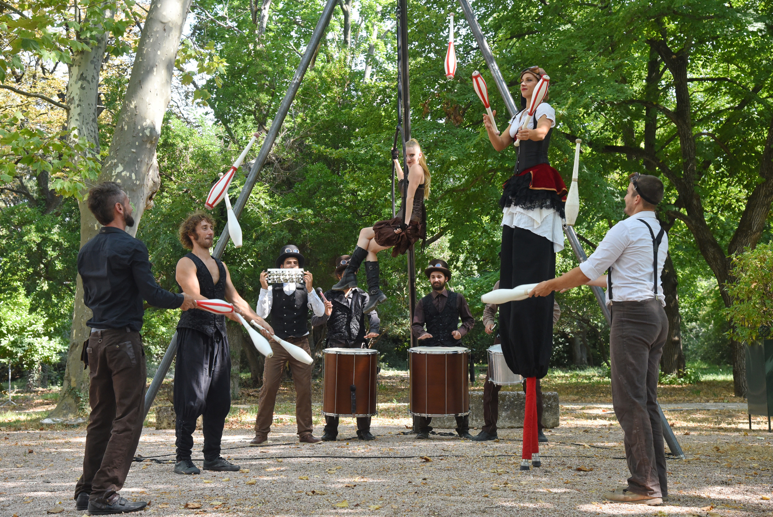 Cirque en Languedoc-Roussillon à Montpellier