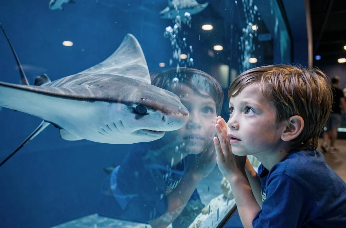 Deux enfants admirent une raie manta à travers la vitre d'un grand aquarium à Planet Ocean Montpellier